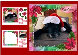 Cute Christmas Dog