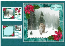 Snow Leopard