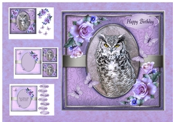 Portrait of an Owl
