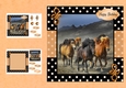 cup885711_20877 - Galloping Wild Horses