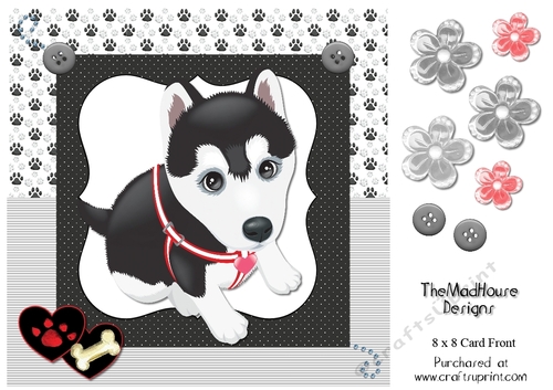 Cute dog 8 x 8 Card front 