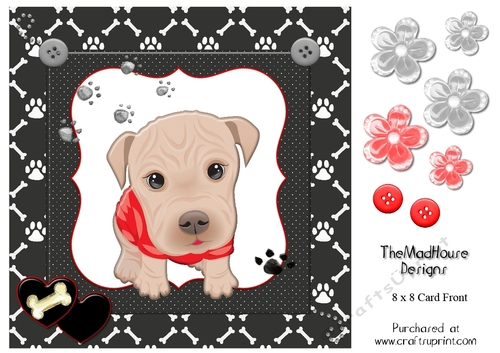 Cute Pup 8 x 8 Card Front