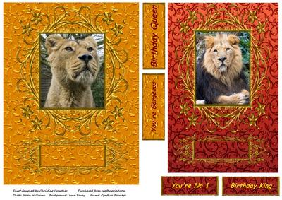 Framed Lion & Lioness Quick Cards - Rich Embossed Background