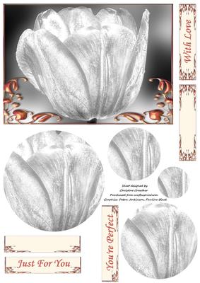 Silver White Tulip in Fancy Frame Circular Pyramid