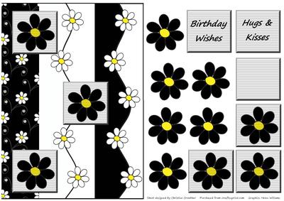 Black & White Daisy Wavy Edged Card Front Pyramage