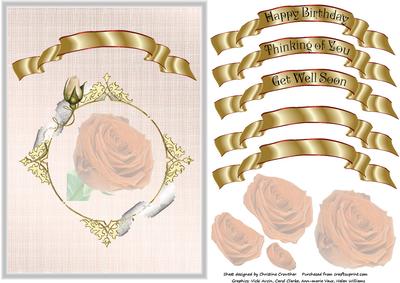 Peach Rose in Rosebud Frame on Organza