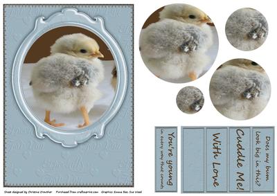 Cute Chick Does My Bum Look Big in This?