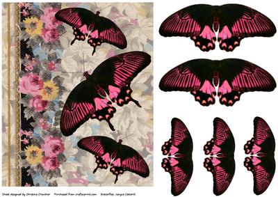 Vintage Floral Bright Butterflies
