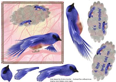 Blue Bird Birthday