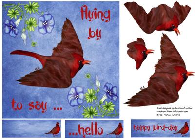 Cardinal Flying by to Say Hello, Happy Bird-day