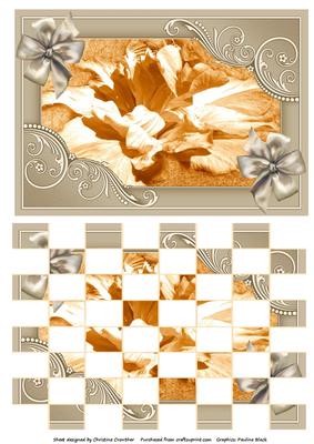 Golden Hibiscus in Taupe Fancy Frame with Bows Patchoupage