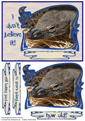 I Don't Believe It Reptile Birthday Card - 70 Years Young