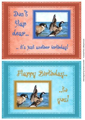 Flappy Birthday & Don't Flap, Just Another Birthday