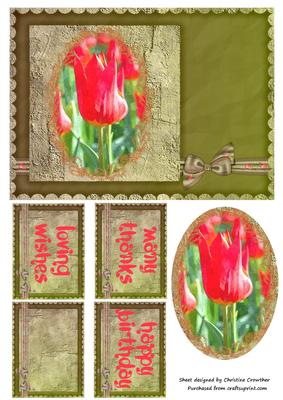 Red Tulip in Olive Frame for Birthday or Thanks