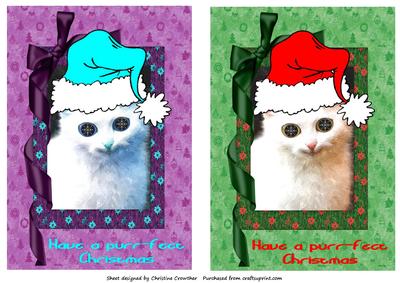 Funny Christmas Kitten with Snowflake Eyes Quick Card Fronts