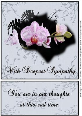 Beautiful Orchids with Deepest Sympathy in Our Thoughts
