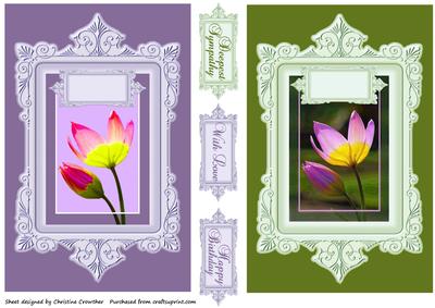 Framed Sunlit Tulips - Birthday, with Love, Deepest Sympathy
