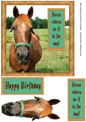 Horse Riders Do It in the Hay! Step by Step