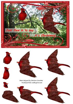 Cardinals Just Flew in to Say It's Christmas