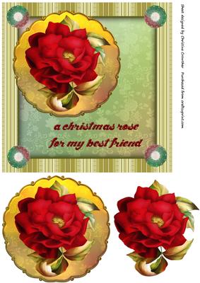 A Christmas Rose for My Best Friend