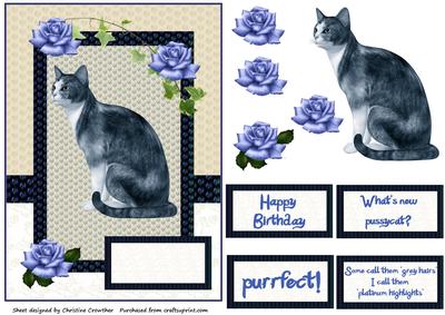 Platinum Highlights, Not Grey Hairs, Funny Cat Card