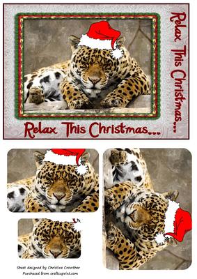 Big Cat Sleeping Leopard Relax This Christmas
