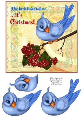 Christmas Bluebird Step by Step