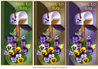 Pansy Mailbox 3 Dl Quick Card Fronts