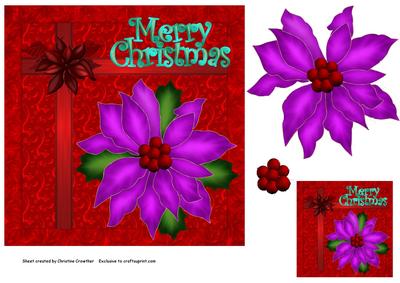Vibrant Christmas Poinsettia