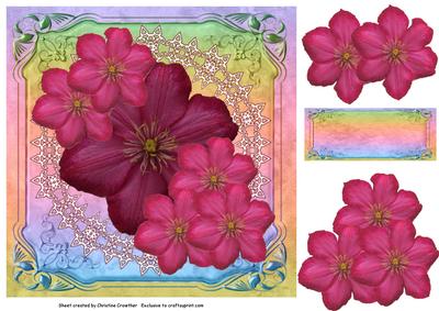 Burgundy and Pink Clematis Delight for Any Occasion