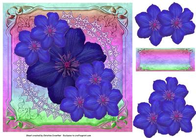 Royal Blue Clematis Delight for Any Occasion