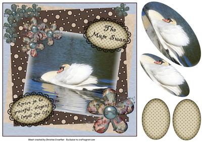 Mute Swan - Strive to Be Graceful Elegant and Loyal