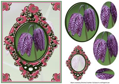 Snakes Head Fritillary in Fancy Pink Frame - Multi Purpose