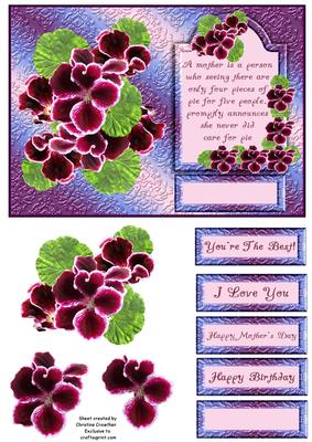 Mother Definition with Pelargonium / Geranium