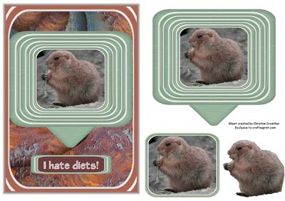 I Hate Diets! (2) Grass Eating Prairie Dog - Any Occasion