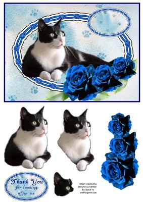 Black and White Cat with Blue Roses Thank You