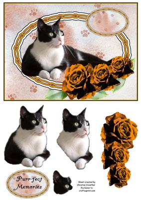 Black and White Cat with Gold Roses Purrfect Memories