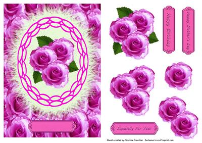Especially for You Hot Pink Roses Happy Birthday Mothers Day