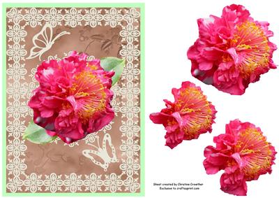 Camellia and Lace Decoupage Any Occasion Card