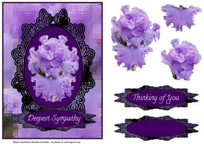 Bearded Iris Deepest Sympathy Thinking of You