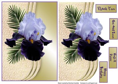 Lilac and Purple Iris Faux Envelope with 4 Sentiments