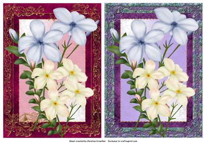 Two Jasmine Quick Card Fronts for Any Occasion