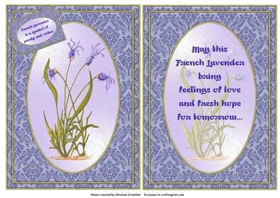 The Meaning of French Lavender - Quick Card with Insert