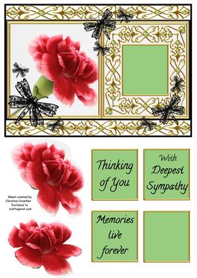 Carnation Thinking of You Sympathy Memories Live Forever