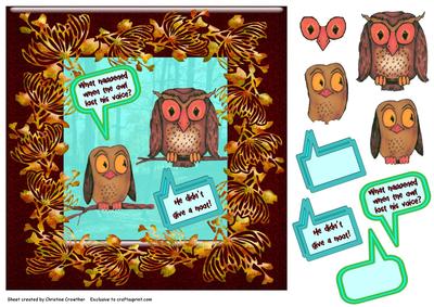 What Happened When the Owl Lost His Voice?