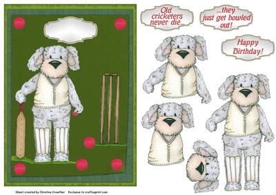 Old Cricketers Never Die -  They Just Get Bowled Out!