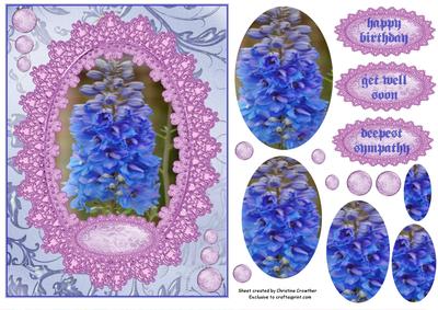 Delphinium for Sympathy or Get Well or Birthday