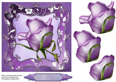 Big and Bold Lavender Rose for Any Occasion