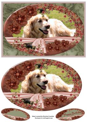 Golden Retriever in the Sun for Birthday/any Occasion