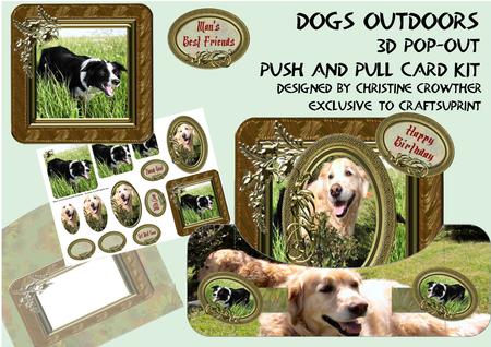 Dogs Outdoors Push and Pull Card Kit
